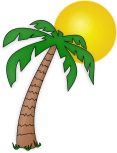palm-tree-hi